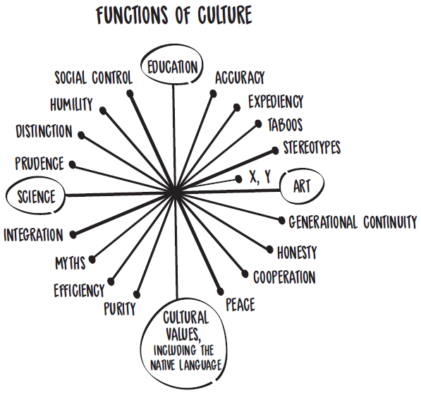 Functions of culture